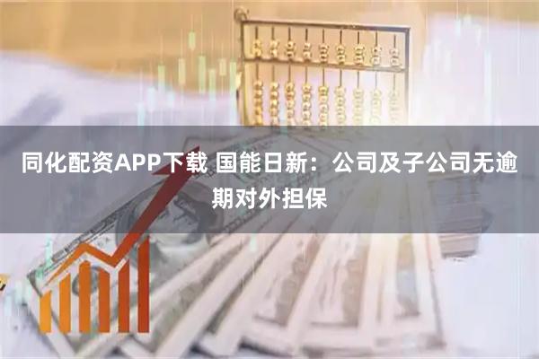 同化配资APP下载 国能日新：公司及子公司无逾期对外担保