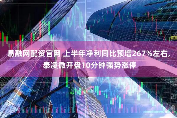 易融网配资官网 上半年净利同比预增267%左右, 泰凌微开盘10分钟强势涨停